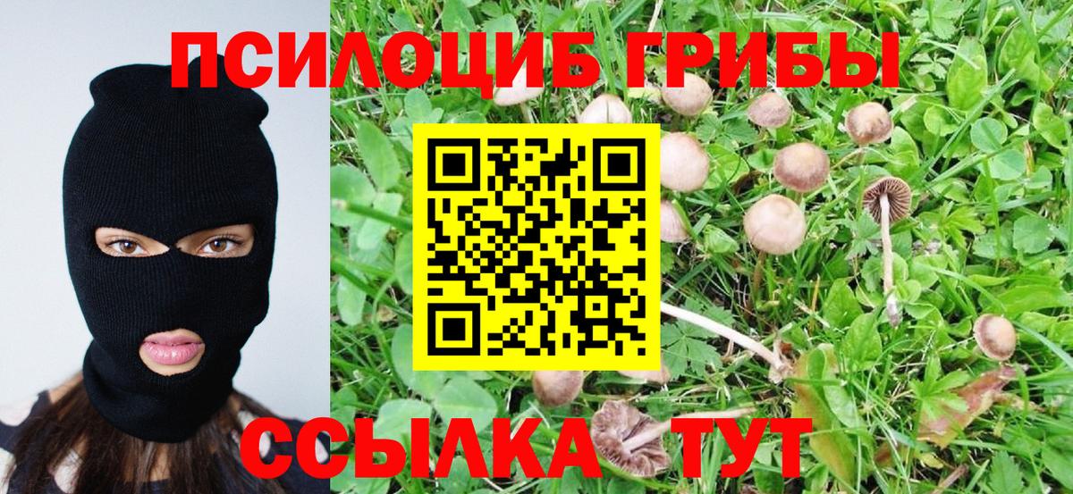 Железноводск  Псилоцибиновые грибы GOLDEN TEACHER  Вход с VPN  Галлюциногенные грибы MAGIC MUSHROOMS 